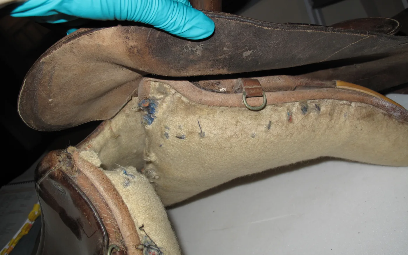 Sattelkissen mit heller Wollpolsterung wird bei der Aufarbeitung mit behandschuhter Hand geöffnet